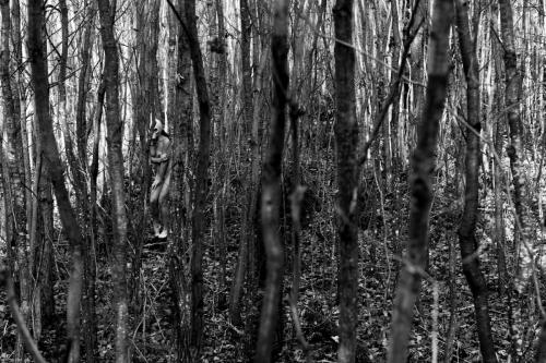 alainmarti photographe masque 021