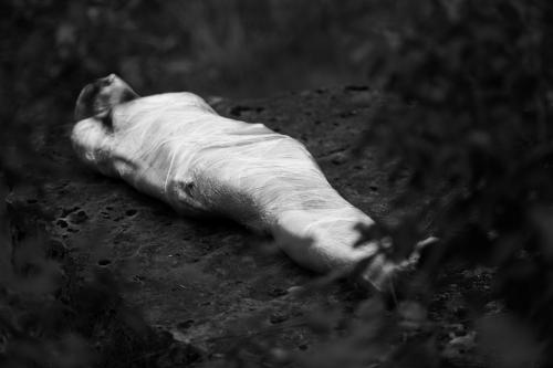 alainmarti photographe emballage 019