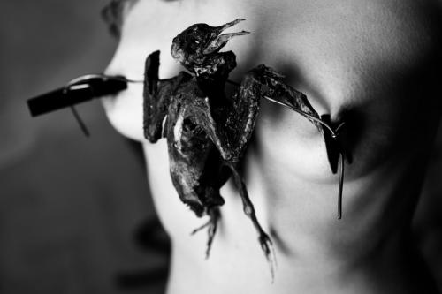 alainmarti photographe fatras 018