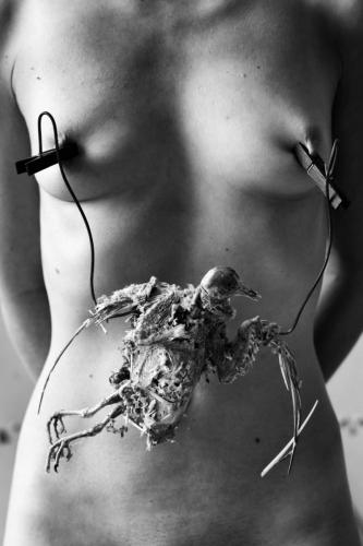 alainmarti photographe fatras 029