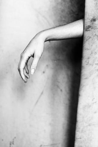 alainmarti photographe morcellement 001