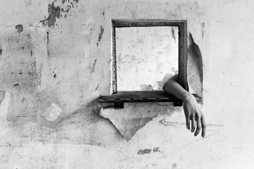 alainmarti photographe morcellement 002