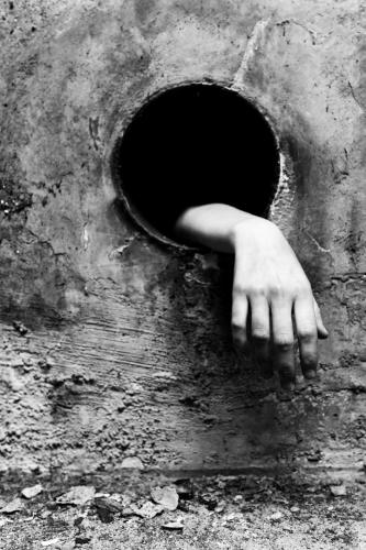 alainmarti photographe morcellement 003