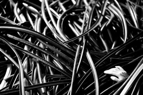 alainmarti photographe morcellement 004