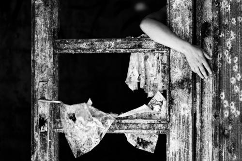 alainmarti photographe morcellement 005