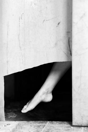 alainmarti photographe morcellement 009