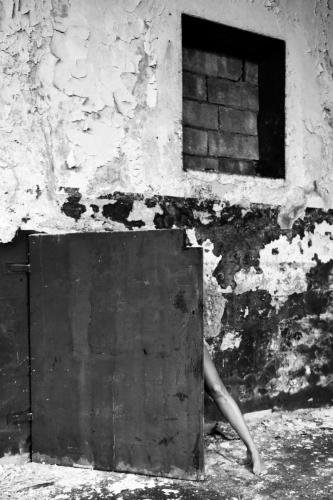 alainmarti photographe morcellement 010