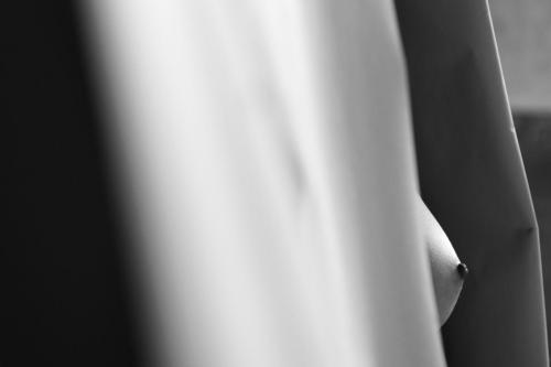 alainmarti photographe morcellement 013