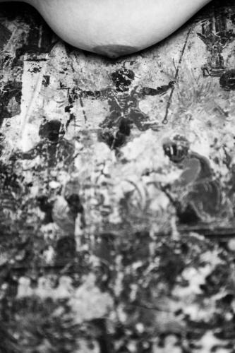 alainmarti photographe morcellement 014