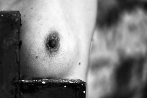 alainmarti photographe morcellement 015