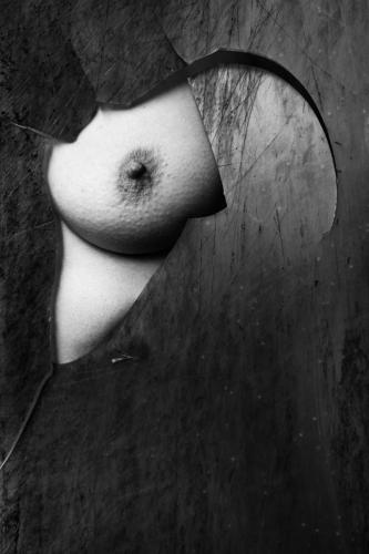 alainmarti photographe morcellement 016