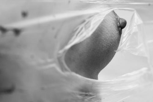 alainmarti photographe morcellement 017