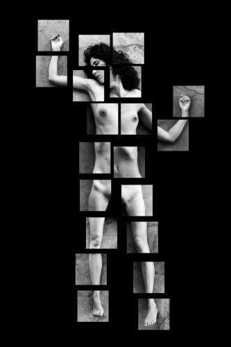 alainmarti photographe morcellement 018