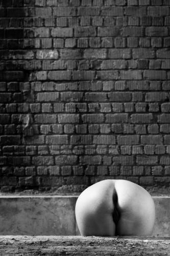 alainmarti photographe morcellement 021