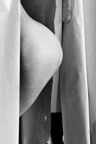 alainmarti photographe morcellement 022