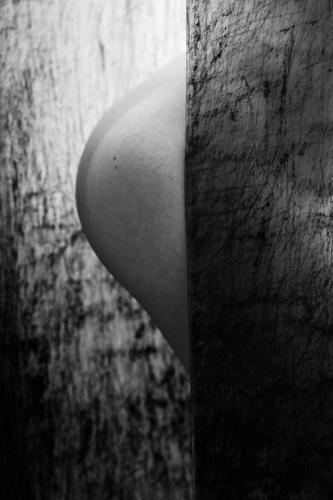 alainmarti photographe morcellement 023