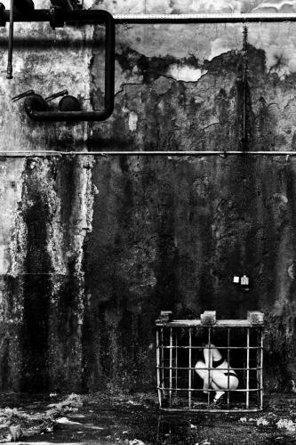 alainmarti photogrpahe replisursoi 993