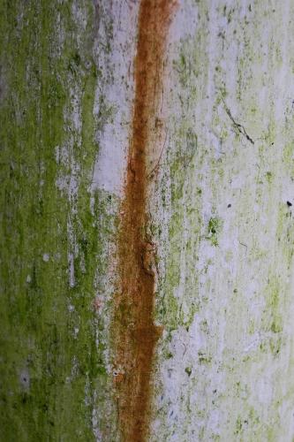 alainmarti urbex 016 photo